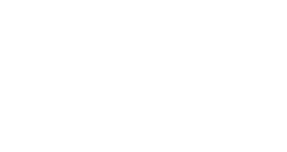 Renord S.p.A. | Piemmecar S.p.A.